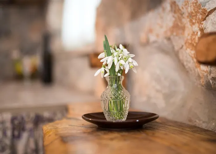 The Terrace アパート