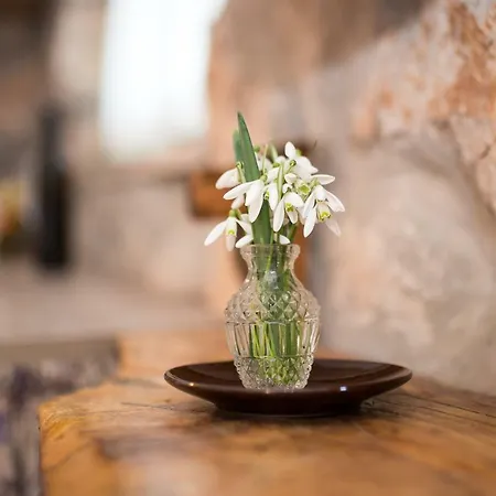 The Terrace Apartment